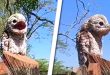 VIDEO: Conoce al urutaú, o pájaro fantasma, su grito se asemeja al lamento humano
